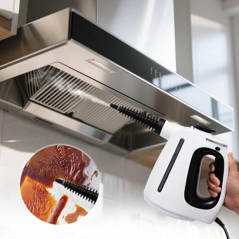 Multifunctional Handheld Steam - Home Bathroom Cleaning 评论和价格