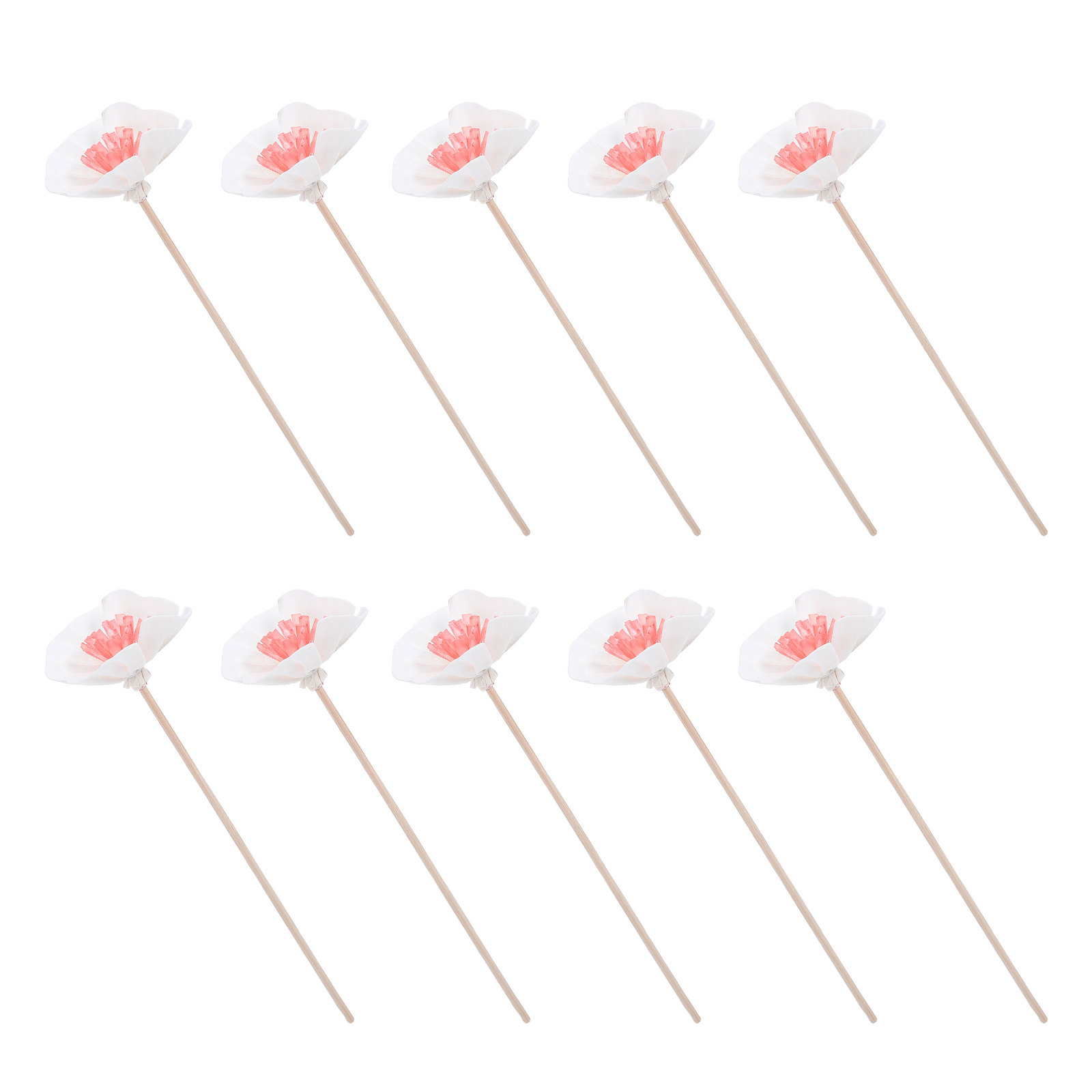 10Pcs Essential Oil Diffuser S - Home Bathroom Essentials 评论和价格