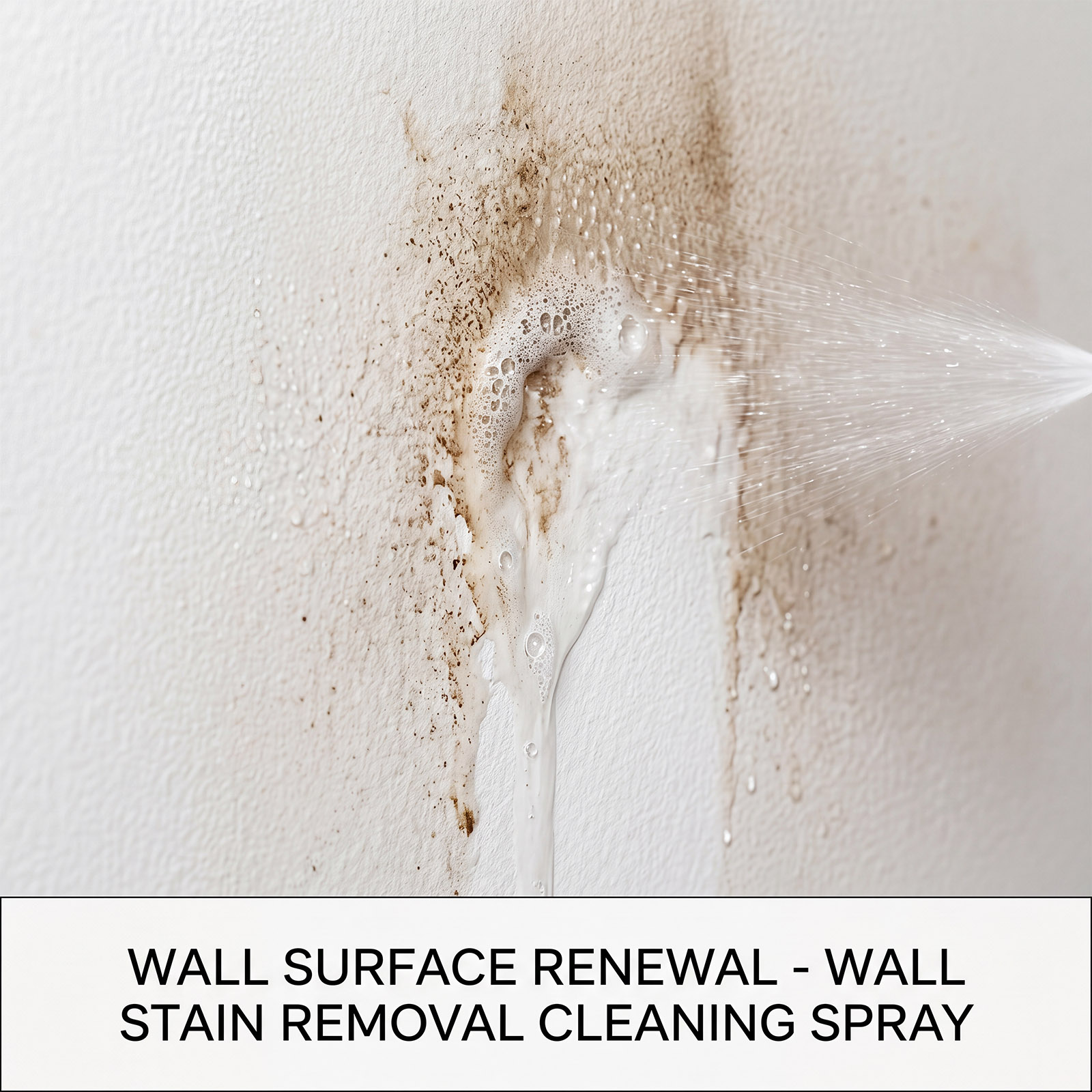 Mildew Remover Wall Spray Clea - Home Bathroom Cleaning 评论和价格